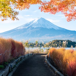 5D4N TOKYO MT. FUJI